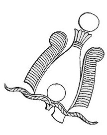 6 - Atef : La couronne Atef; elle reprend la mitre blanche ou raye de la couronne-hedjet, et est complte de deux larges plumes d'autruche. Un bandeau vient cercler le pourtour de la base pour maintenir la couronne sur la tte. Des cornes de blier, torsads et horizontales, sont parfois adjointe aux couronnes-atef portes par les dieux.